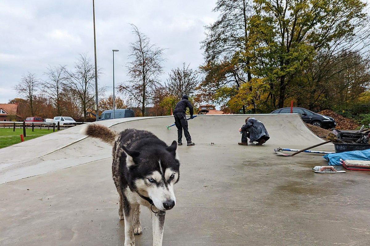 Wietzen skatepark